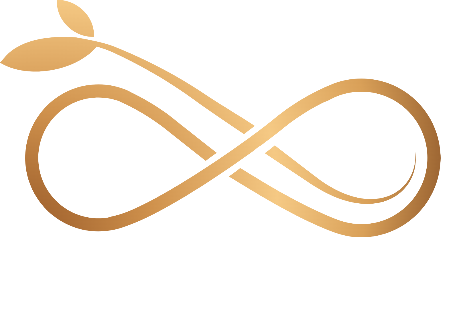 Jobedubaispa